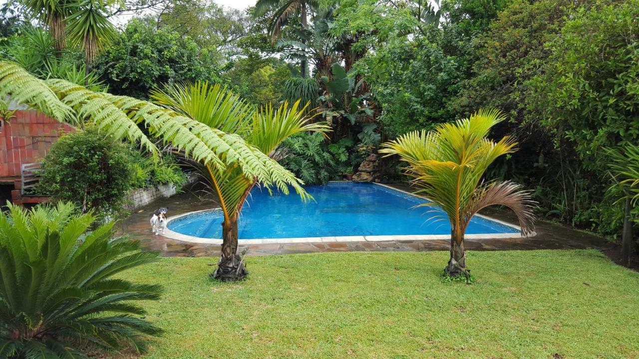 African Dwarf Kingfisher Guesthouse Eshowe Екстериор снимка